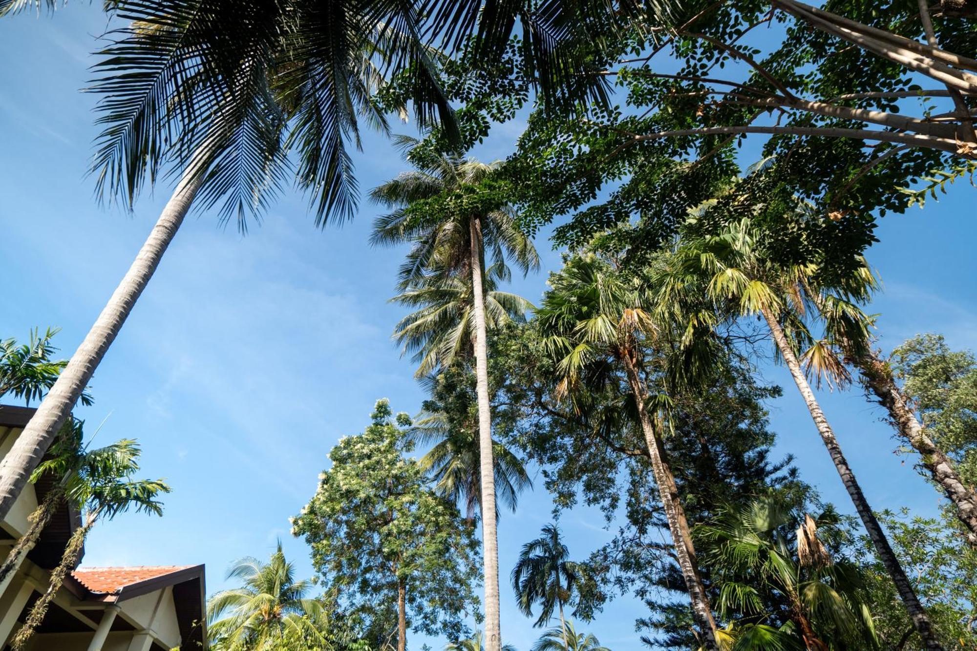 Phuket Leelavadee Hua Ting Resort Patong Zewnętrze zdjęcie
